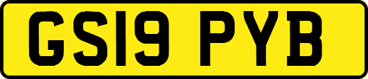 GS19PYB