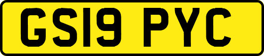 GS19PYC