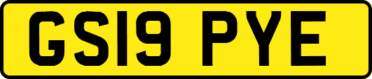 GS19PYE
