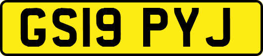 GS19PYJ