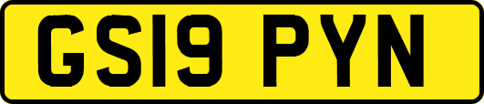 GS19PYN