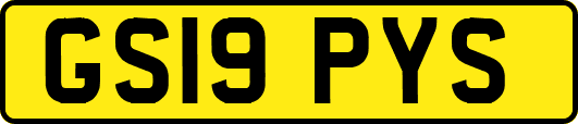 GS19PYS
