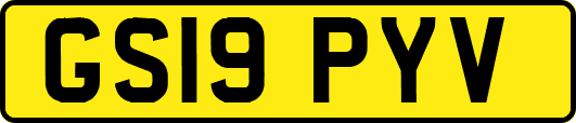 GS19PYV