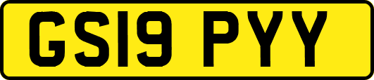GS19PYY