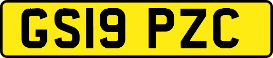 GS19PZC