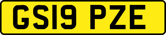 GS19PZE