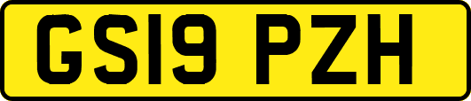 GS19PZH