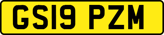 GS19PZM