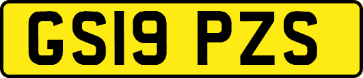 GS19PZS
