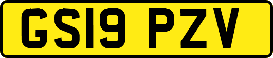 GS19PZV