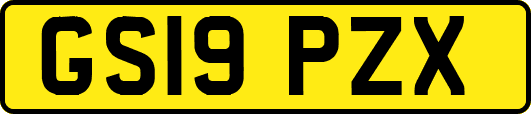 GS19PZX