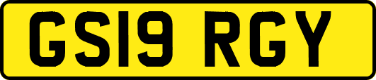 GS19RGY