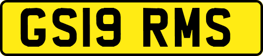 GS19RMS