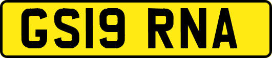 GS19RNA