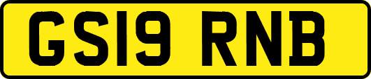 GS19RNB