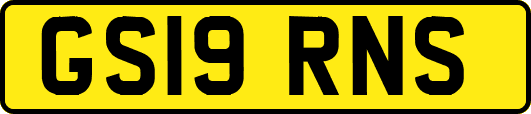 GS19RNS