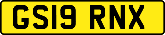 GS19RNX