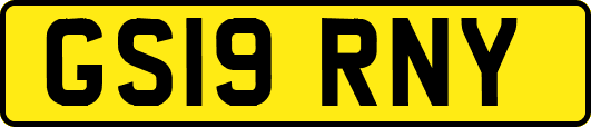 GS19RNY