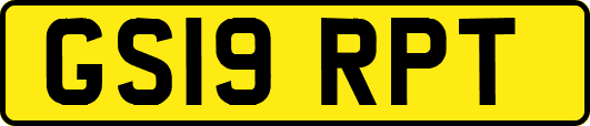 GS19RPT