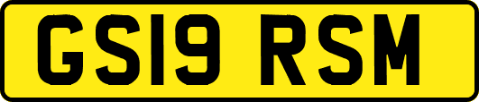 GS19RSM