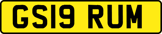 GS19RUM