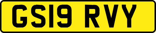 GS19RVY