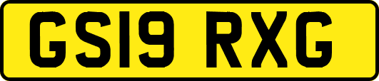 GS19RXG