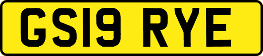 GS19RYE