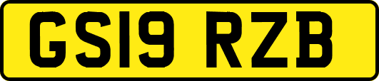 GS19RZB