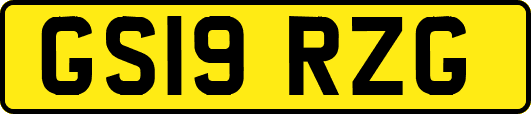 GS19RZG