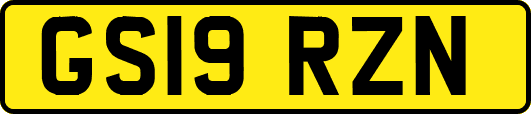 GS19RZN