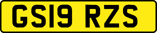 GS19RZS