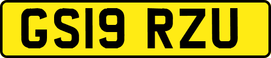 GS19RZU