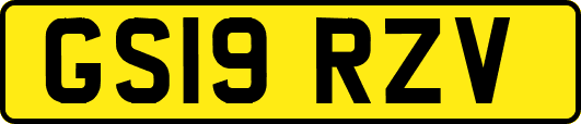 GS19RZV