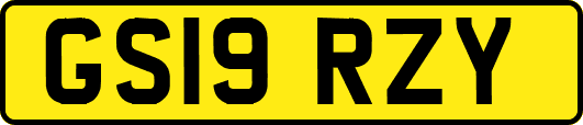 GS19RZY