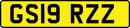 GS19RZZ