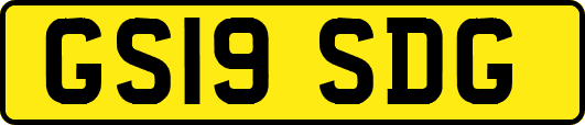 GS19SDG