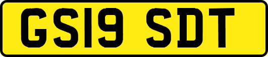 GS19SDT