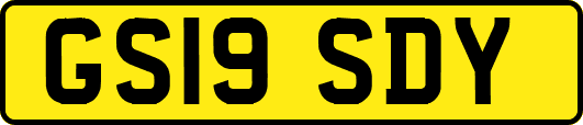 GS19SDY
