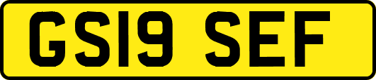 GS19SEF