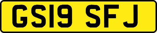 GS19SFJ