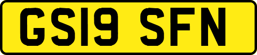 GS19SFN