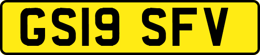 GS19SFV