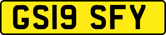 GS19SFY
