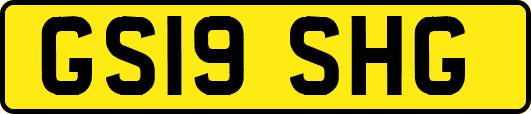 GS19SHG