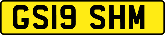 GS19SHM