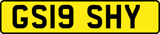GS19SHY