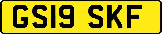 GS19SKF