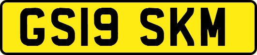 GS19SKM