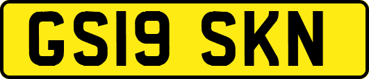 GS19SKN